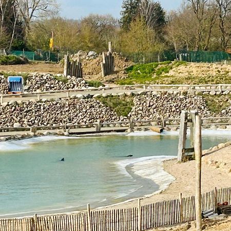 Kuestenbude Robbe Gromitz Bagian luar foto