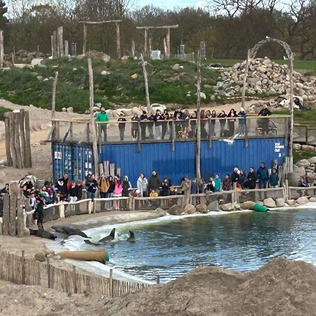 Kuestenbude Robbe Gromitz Bagian luar foto