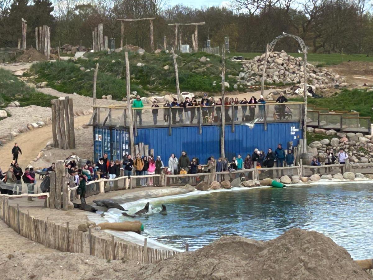 Kuestenbude Robbe Gromitz Bagian luar foto